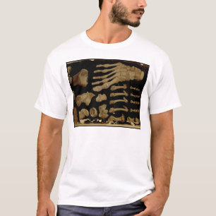 Camiseta Dibujo anatómico de los huesos del pie