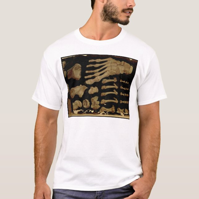 Camiseta Dibujo anatómico de los huesos del pie (Anverso)