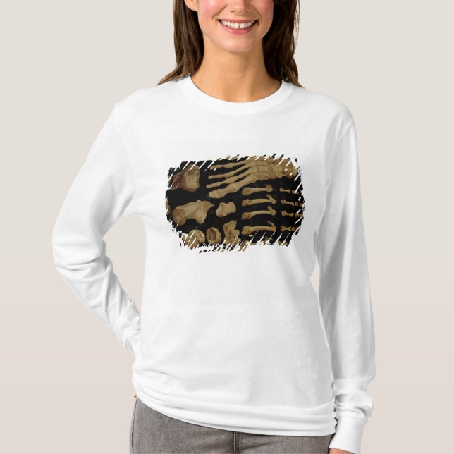 Camiseta Dibujo anatómico de los huesos del pie (Anverso)