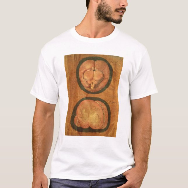 Camiseta Dibujo anatómico del cerebro humano (Anverso)