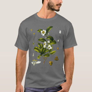 Camiseta Dibujo biológico de la planta de té Camellia Sinen