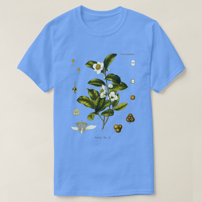 Camiseta Dibujo biológico de la planta de té Camellia Sinen (Diseño del anverso)