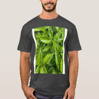 Camiseta Dibujo de hojas