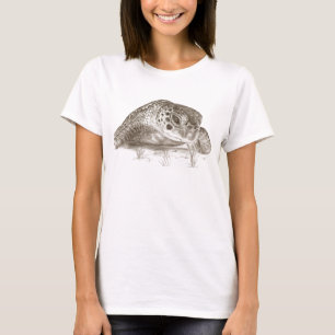 Camiseta Dibujo de la tortuga de mar verde