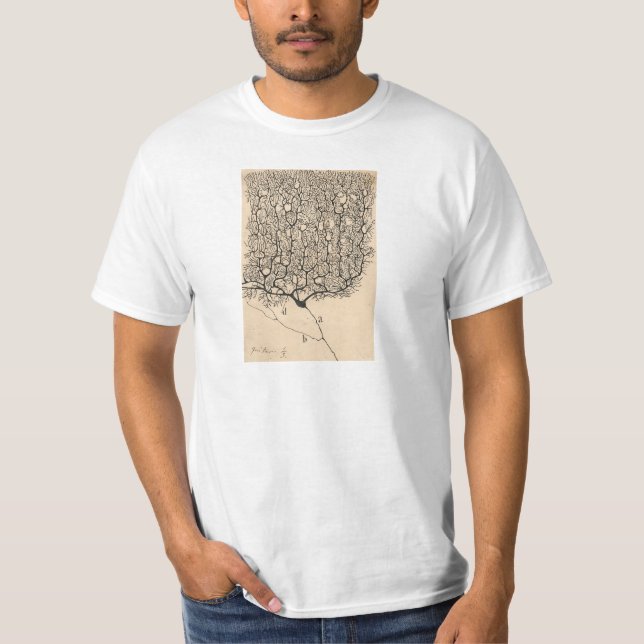 Camiseta Dibujo De Neuronas Por Santiago Ramón Y Cajal (Anverso)