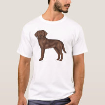 Dibujo de perro labrador retriever de chocolate de