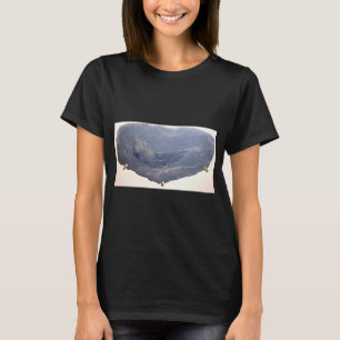 Camiseta Dibujo de pez antiguo