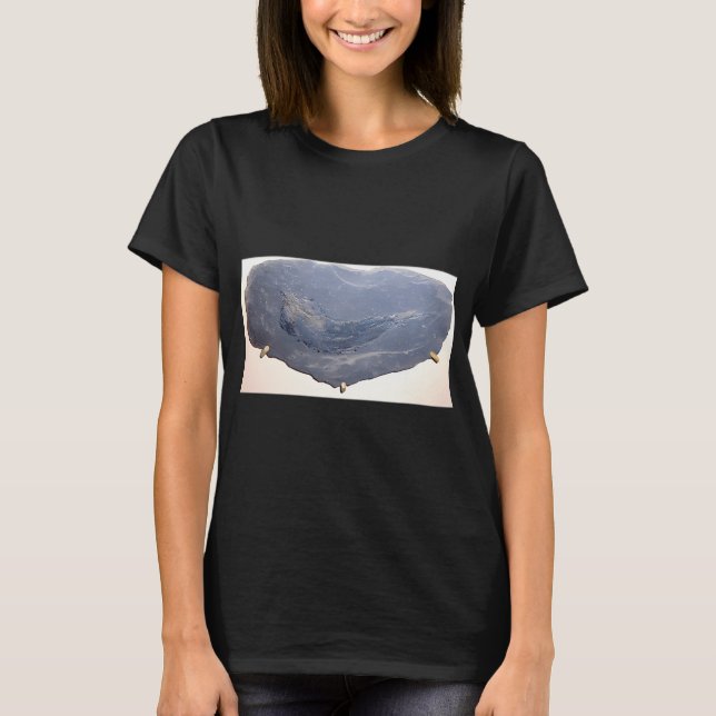 Camiseta Dibujo de pez antiguo (Anverso)