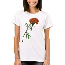 Dibujo de tinta de flor marino francés