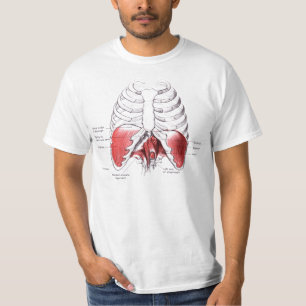 Camiseta Dibujo del diafragma