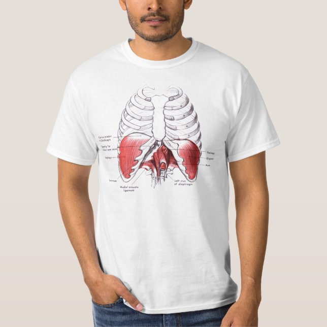 Camiseta Dibujo del diafragma (Anverso)