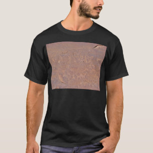Camiseta Dibujos tallados prehistóricos en el desierto