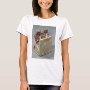 Camiseta Didi y Pendua que ofrecen un himno a dios del sol