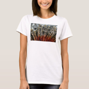 Camiseta Diente de león y gotas de agua, CA