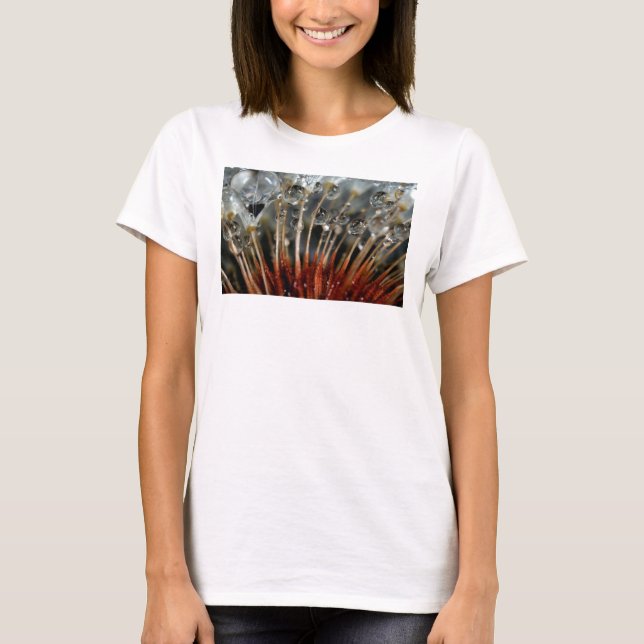 Camiseta Diente de león y gotas de agua, CA (Anverso)