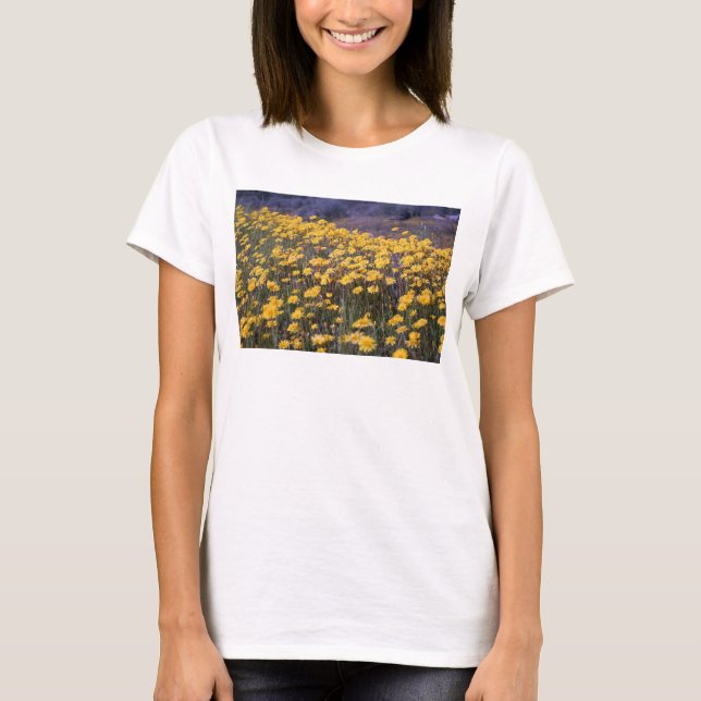 Camiseta Dientes de león (Anverso)