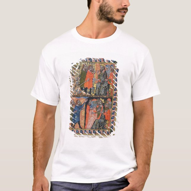 Camiseta Diez plagas de Egipto TtoB; la plaga de (Anverso)