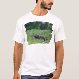 Camiseta Digger del agujero del diablo