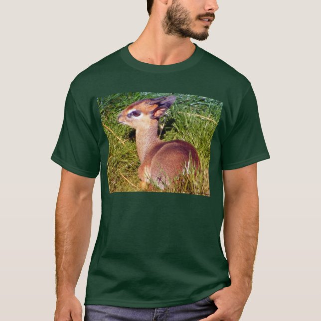 Camiseta DikDik (Anverso)