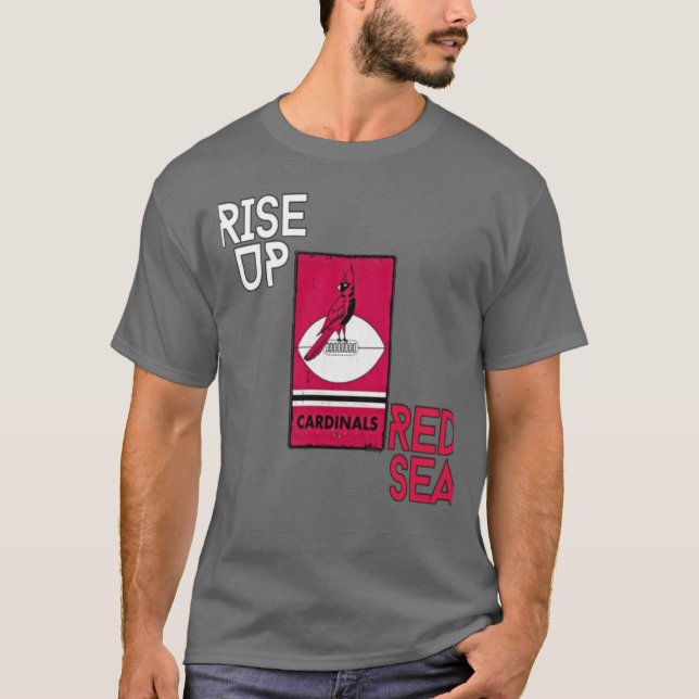 Camiseta Dinares de Arizona (Anverso)