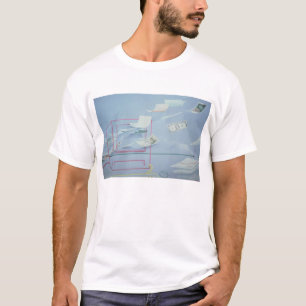 Camiseta Dinero ejecutivo I