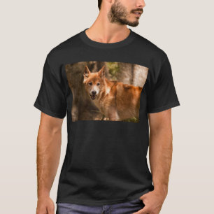 Camiseta Dingo australiano