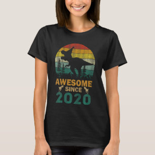 Camiseta Dinosaurio infantil de 3 años impresionante desde