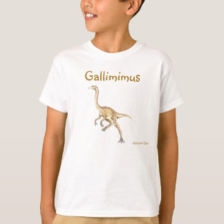 Camiseta Dinosaurios 48