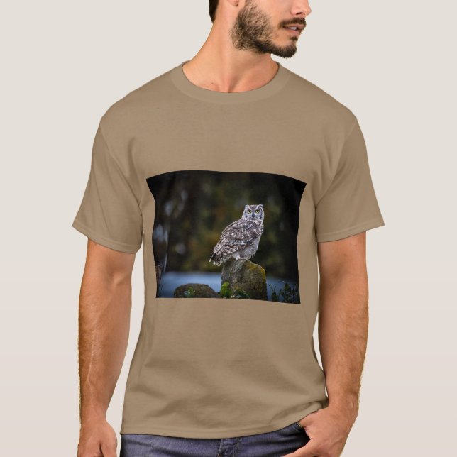 Camiseta Dinydekort Artistic Charm (Anverso)