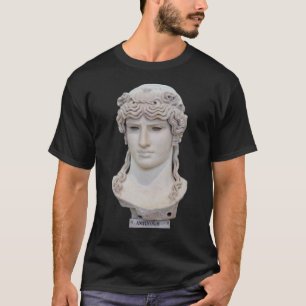Camiseta Dios gay Antinous