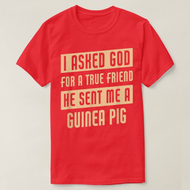 Camiseta Dios me envió un cerdo guineano gracioso (Diseño del anverso)