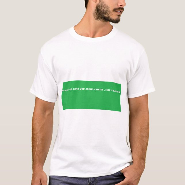 Camiseta Dios mío, DIOS DIOS JESÚS CRISTO, SANTO FANTÁSTICO (Anverso)