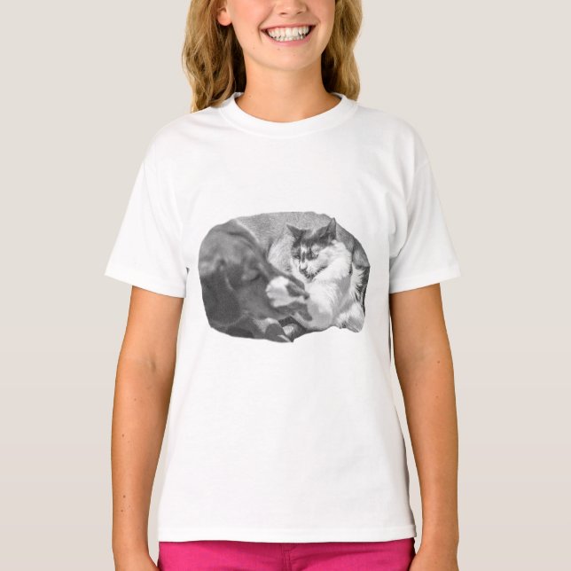 Camiseta Diplomacia de la hoja de ruta (Anverso)