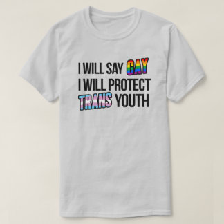 Camiseta Diré gay y protegeré a los jóvenes trans