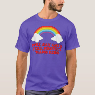 Camiseta Diré gay y protegeré a los niños trans en T-Shi