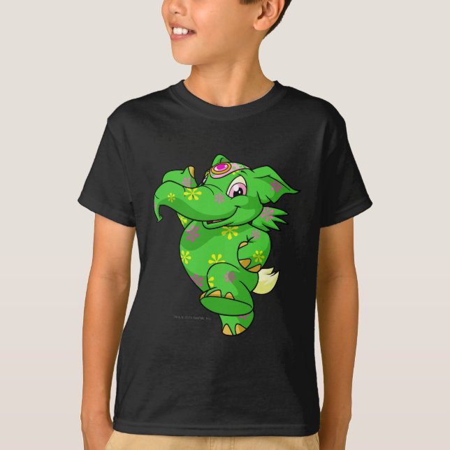 Camiseta Disco de Elephante (Anverso)