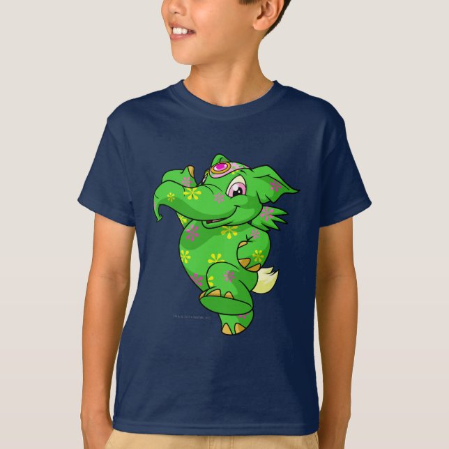 Camiseta Disco de Elephante (Anverso)