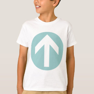 Camiseta Disco de flecha