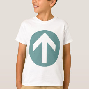 Camiseta Disco de flecha