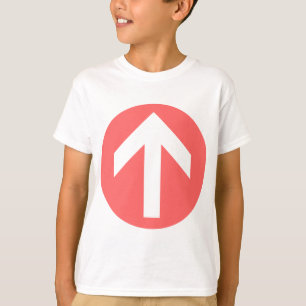 Camiseta Disco de flecha