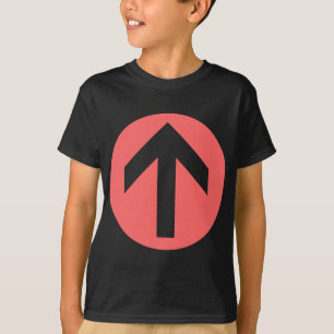 Camiseta Disco de flecha