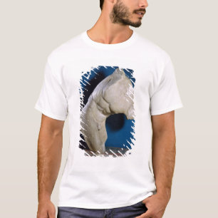 Camiseta Discóbolo, copia romana