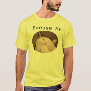 Camiseta Disculpa