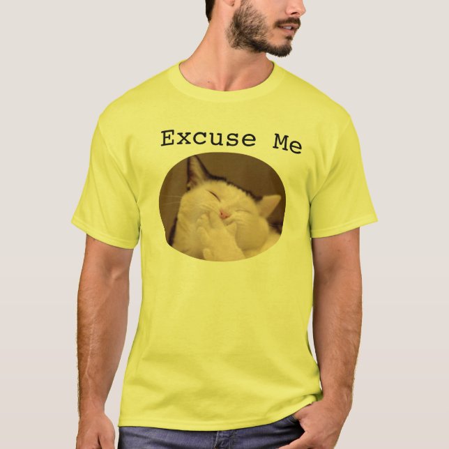 Camiseta Disculpa (Anverso)