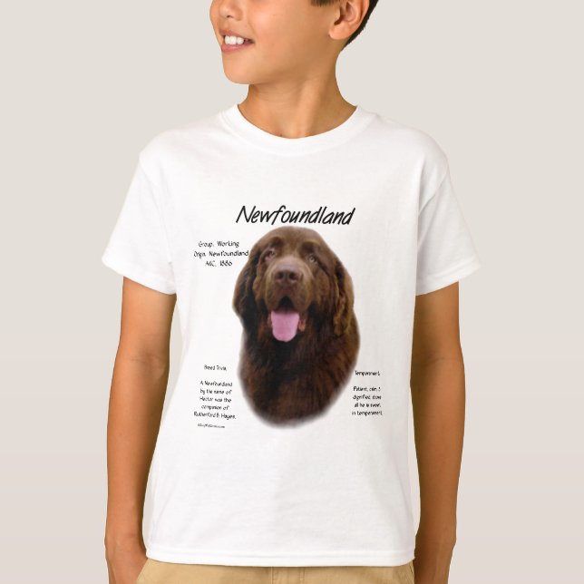 Camiseta Diseño de historia de Terranova (Brown) (Anverso)