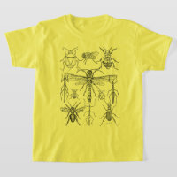 Diseño de insectos para los amantes del exterior
