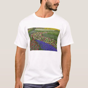 Camiseta Diseño de jardín de jacinto de uva y tulipanes,