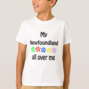 Camiseta Diseño de paseos por Terranova