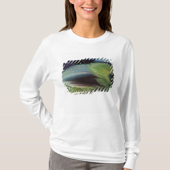 Camiseta diseño de patrón de pluma de loro (Anverso)