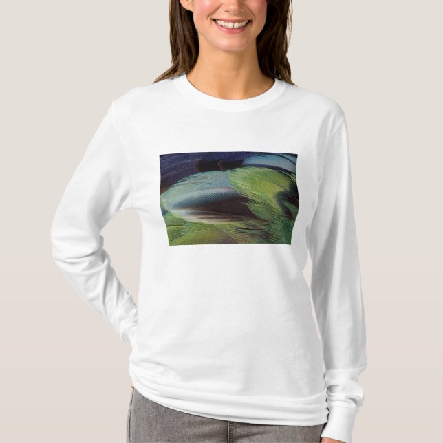 Camiseta diseño de patrón de pluma de loro (Anverso)
